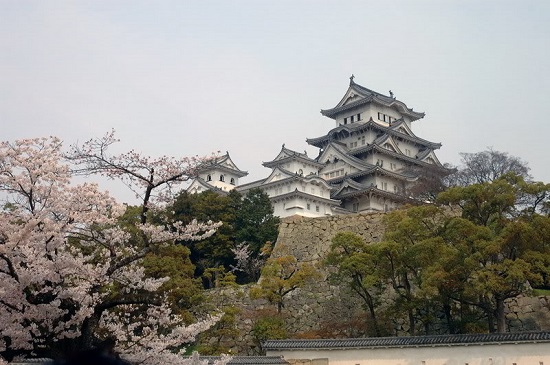 Lâu đài Nagoya Nhật Bản - một phần văn hóa không thể thiếu của đất nước Nhật Bản