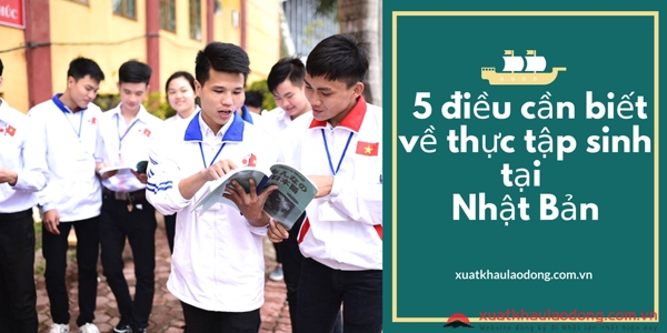 thực tập sinh nhật bản là gì