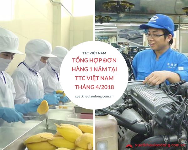 tổng hợp đơn hàng đi nhật 1 năm