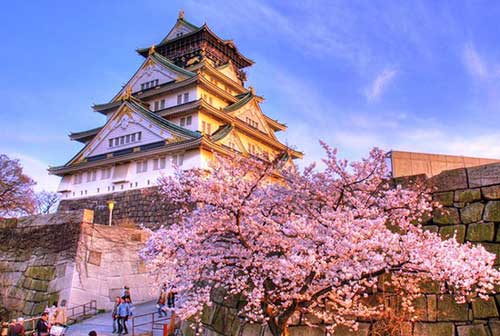 Hoa anh đào nở tại lâu đài Himeji