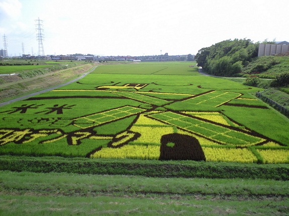 nghệ thuật trồng lúa Nhật Bản