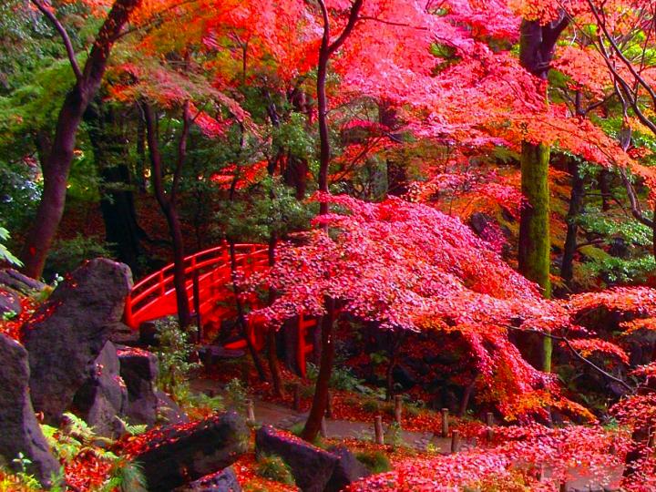 thiên nhiên Nhật Bản