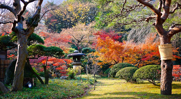 vườn hoa Nhật Bản
