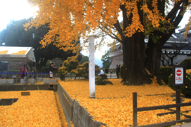 mùa thu ở Kyushu Nhật Bản