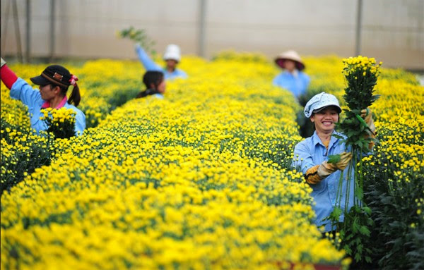 Đi xuất khẩu lao động Nhật Bản 2017 cần trang bị cho mình những gì?