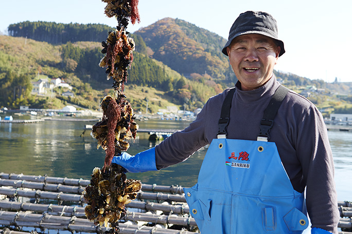 Đơn hàng xuất khẩu lao động Nhật Bản nuôi trồng sò điệp lương cao