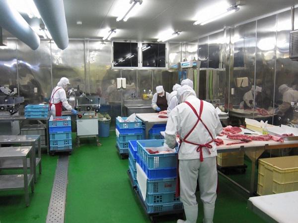 Công việc chế biến thịt bò, thịt lợn của thực tập sinh tại Nhật Bản