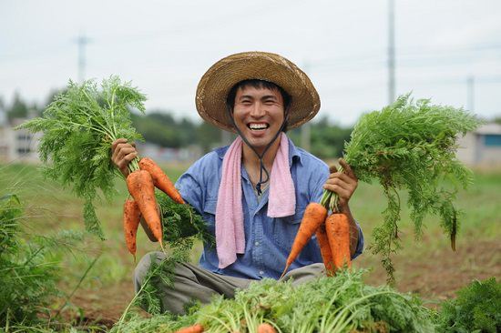 3 công việc hấp dẫn ngành nông nghiệp XKLĐ Nhật Bản