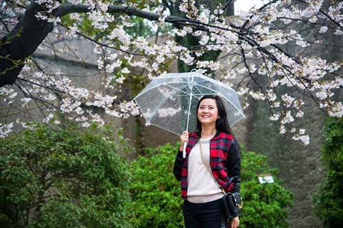6 lý do khiến bạn đặt chân sang Nhật Bản mà không muốn về
