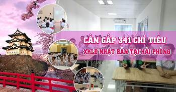 Tuyển gấp 341 lao động đi xuất khẩu Nhật Bản tại tỉnh Hải Phòng