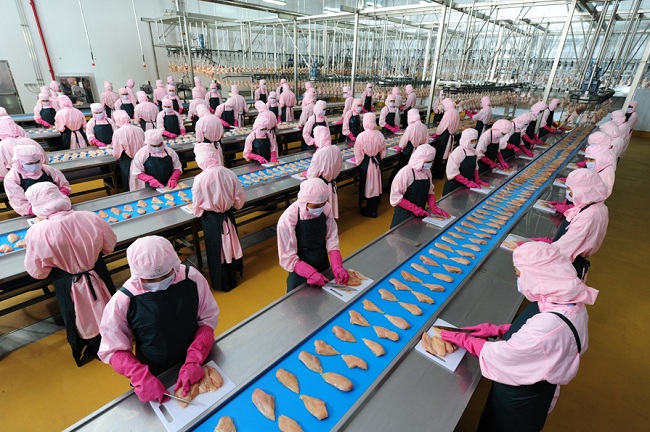 Xuất khẩu lao động Nhật Bản ngành chế biến thực phẩm
