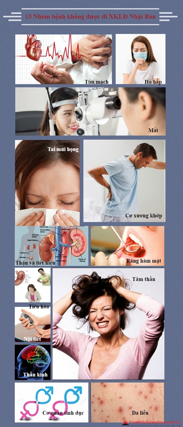 Điều kiện đi xuất khẩu lao động Nhật Bản