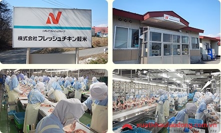 đơn hàng chế biến thịt gà làm việc tại Nhật Bản 