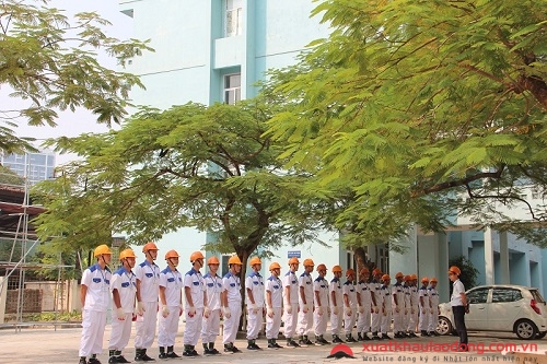 công ty XKLĐ Nhật Bản tại Hà Nội