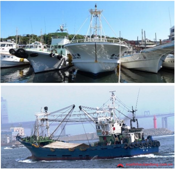 Ngành đánh bắt hải sản ở Nhật Bản