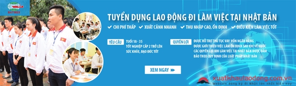 Giới thiệu công ty Batimex