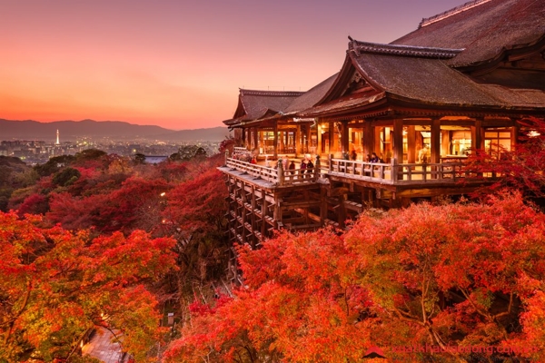 địa điểm ngắm lá đỏ ở kyoto