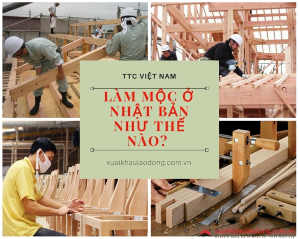 Làm mộc ở Nhật Bản như thế nào? Có vất vả không?