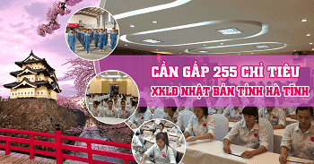 Tuyển gấp 255 lao động đi xuất khẩu Nhật Bản tại Hà Tĩnh năm 2023