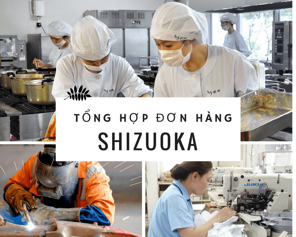 Tổng hợp 10 đơn hàng HOT đi XKLĐ tại Shizuoka, Nhật Bản