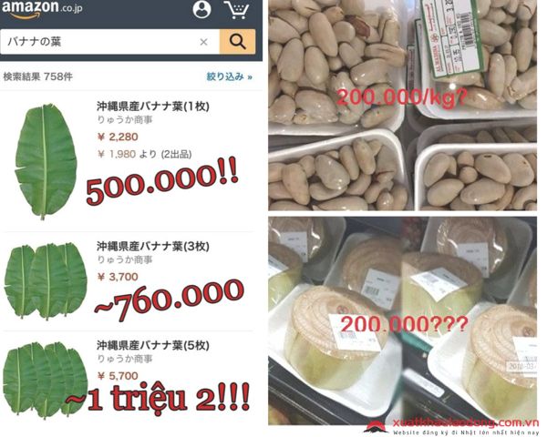 Những thứ vô giá trị ở Việt Nam được bán với mức giá CAO NGẤT tại Nhật
