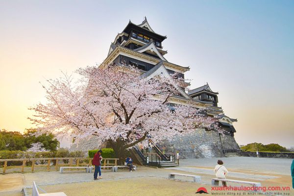 7 địa điểm nhất định phải ghé thăm khi tới vùng Kyushu, Nhật Bản