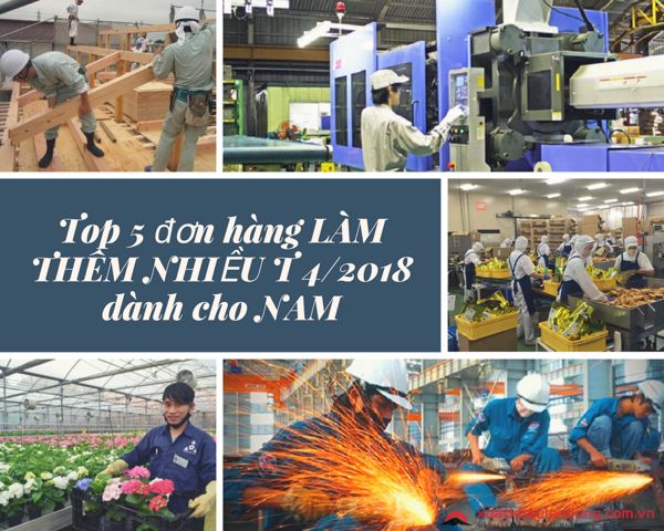 Top 5 đơn hàng LÀM THÊM NHIỀU tháng 11/2023 dành cho NAM