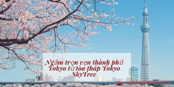 Ngắm trọn vẹn thành phố Tokyo từ tòa tháp Tokyo SkyTree
