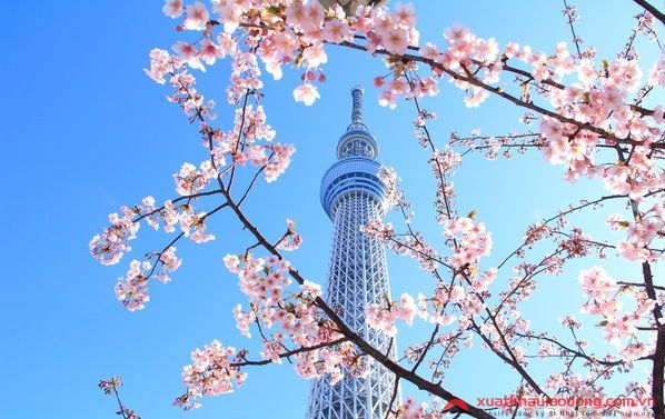 Tháp Tokyo SkyTree