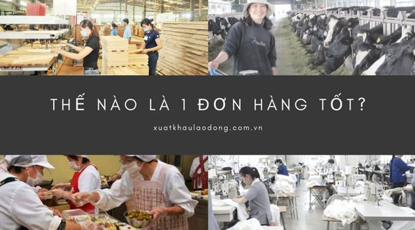 Thế nào là một đơn hàng đi Nhật tốt với bạn?