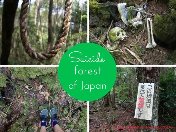 Những bí mật ghê rợn bên trong khu rừng tự sát Aokigahara Nhật Bản