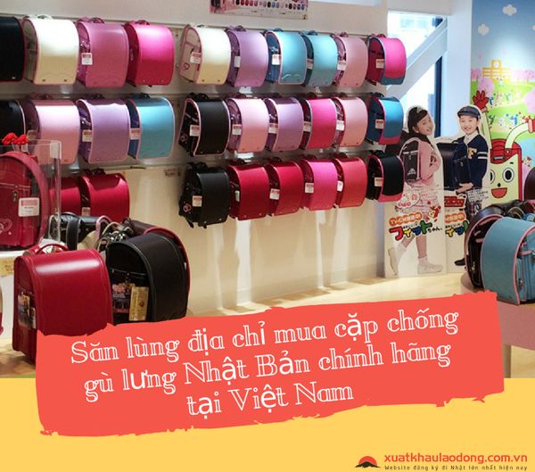 Săn lùng địa chỉ mua cặp chống gù lưng Nhật Bản chính hãng tại Việt Nam