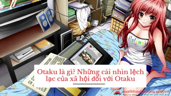 Otaku là gì? Những cái nhìn lệch lạc của xã hội đối với Otaku