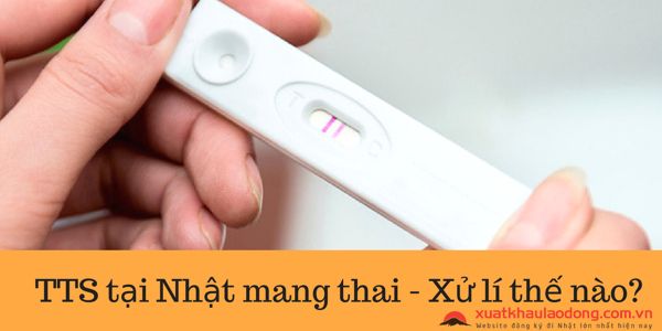 Thực tập sinh tại Nhật Bản mang thai - Xử lý như thế nào
