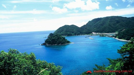 * Đảo Amamioshima 