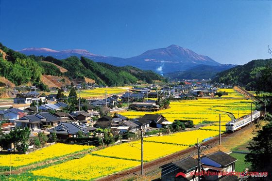  Kagoshima phát triển nhất ngành nông nghiệp
