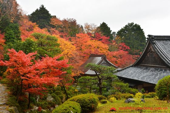 Vẻ cổ kính của chùa Hyakusai-ji - tỉnh Shiga Nhật Bản