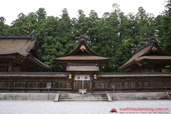 Taga-taisha là một trong những ngôi đền cổ nhất tại Nhật Bản