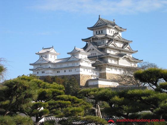 Lâu đài Hikone- một dấu ấn lịch sử còn sót lại tại Nhật Bản