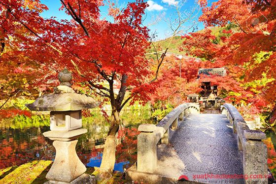 Mùa lá đỏ tại đền Hiyoshi
