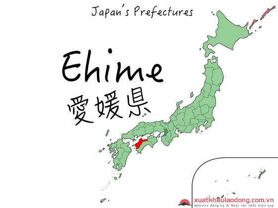 khám phá Ehime Nhật Bản