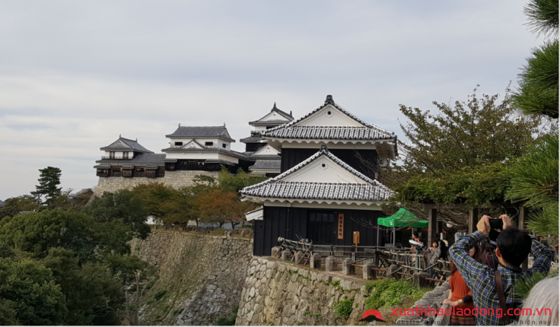 Khung cảnh lâu đài cổ Matsuyama 