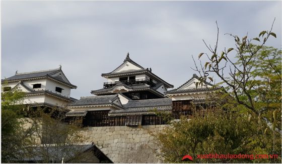 Khung cảnh lâu đài cổ Matsuyama