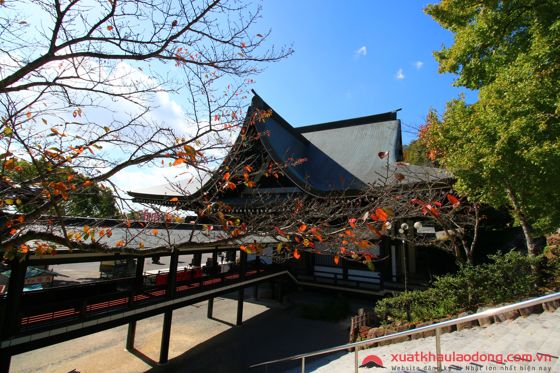 Ngôi đền kiêm chùa Saijo-inari