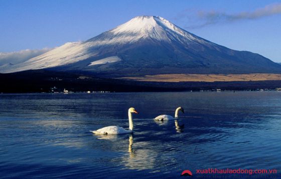 Khung cảnh hồ Kawaguchi ngắm núi Phú Sĩ