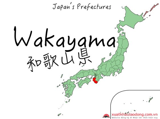 Đến Wakayama Nhật Bản để cảm nhận NGƯỜI ĐẸP NGỦ
