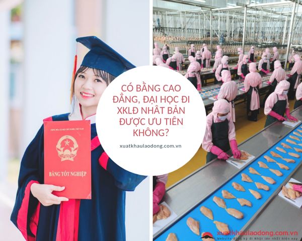 Có bằng cao đẳng, đại học đi XKLĐ Nhật Bản được ưu tiên không?