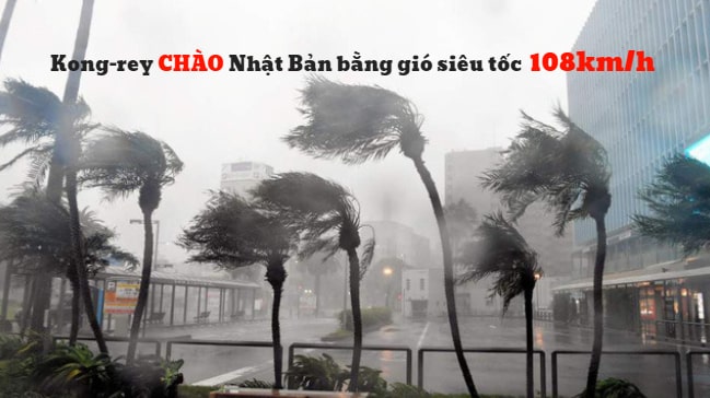 Bão Kong rey CHÀO Nhật Bản bằng siêu gió 108 km/h khiến 200 chuyến bay bị HỦY ngay lập tức