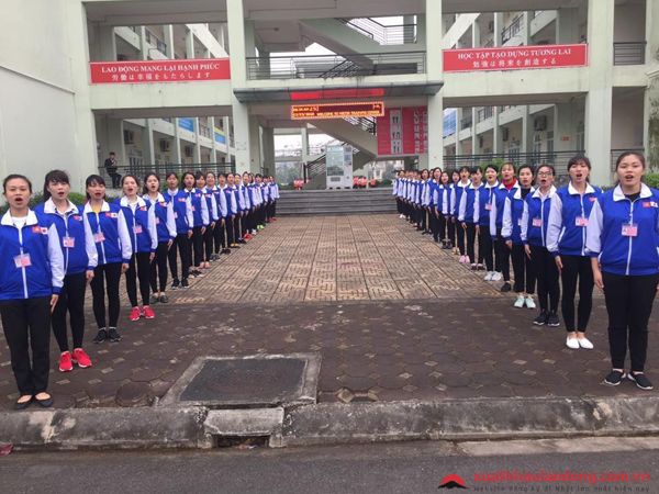 công ty cổ phần đầu tư và nhân lực MD Việt Nam