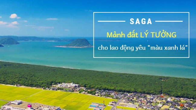 Tỉnh Saga Nhật Bản – vùng đất LÝ TƯỞNG cho các lao động Việt yêu màu xanh lá!